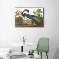 Louisiana Heron Framed Canvas Art Print