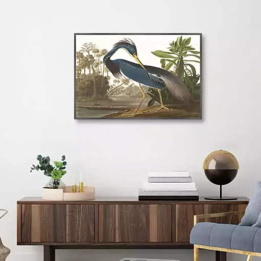 Louisiana Heron Framed Canvas Art Print