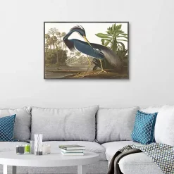 Louisiana Heron Framed Canvas Art Print