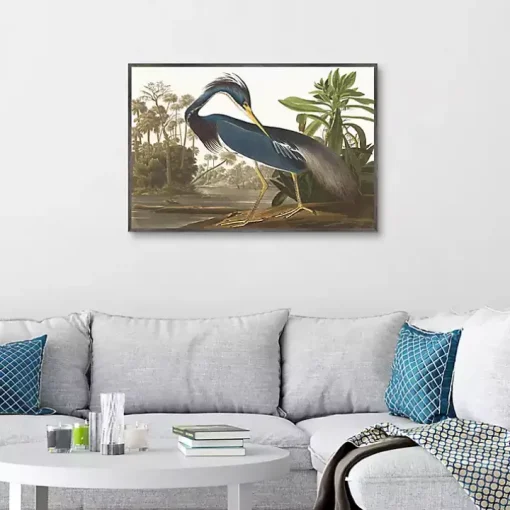 Louisiana Heron Framed Canvas Art Print