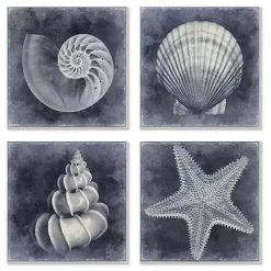 Nautical Seashells 4-pc. Canvas Art Print Set