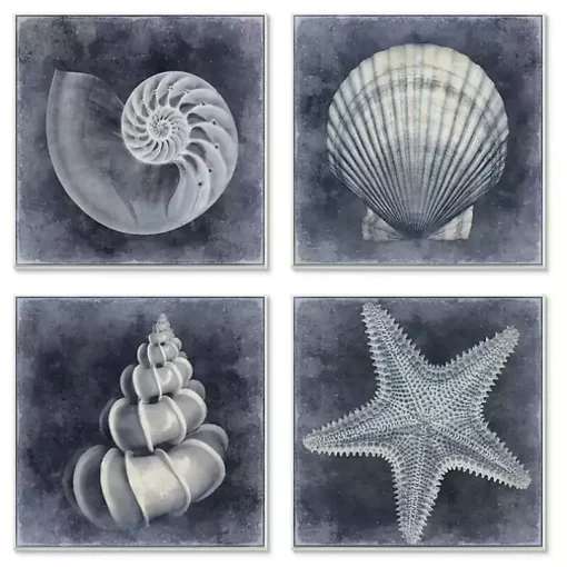 Nautical Seashells 4-pc. Canvas Art Print Set