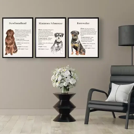 Newfoundland Facts Framed Wall Plaque