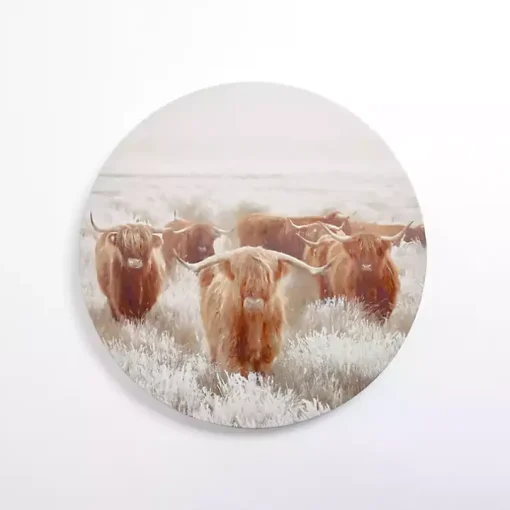 Round Frosty Highland Cows Canvas Art Print