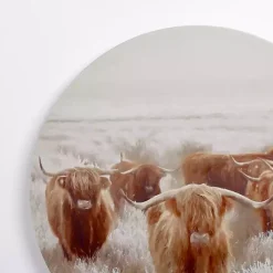 Round Frosty Highland Cows Canvas Art Print