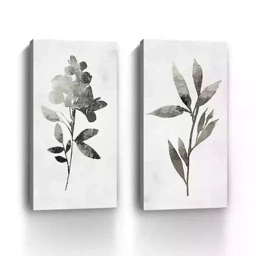 A Shadow of a Flower 2-pc. Canvas Art Set