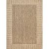 Asia Brown Stripe Border Outdoor Rug, 8x10