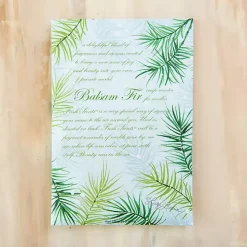 Balsam Fir and Cedar Sachet