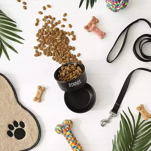 Black Dinner & Drinks 2-pc. Pet Bowl Set, 4 in.