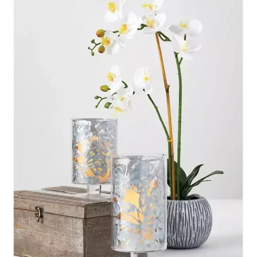 Blooming White Orchid Potted Floral Arrangement