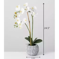 Blooming White Orchid Potted Floral Arrangement