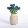 Blue Thistle Arrangement in Vase
