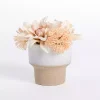 Blush Dahlia Arrangement in Two-Toned Pot