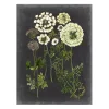 Bookplate Floral II Giclee Canvas Art Print