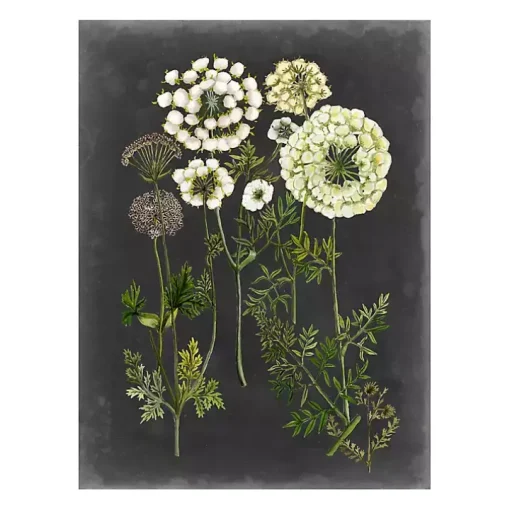 Bookplate Floral II Giclee Canvas Art Print
