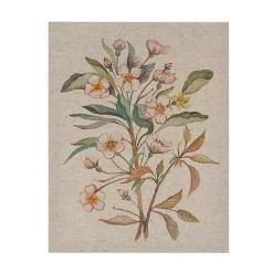 Botanical Linen Art Prints, Set of 3