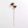 Brown Foam Flower Spray