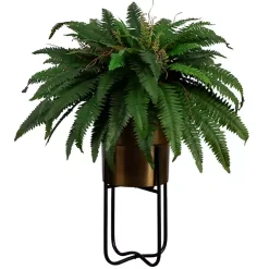 Fern in Gold Metal Planter