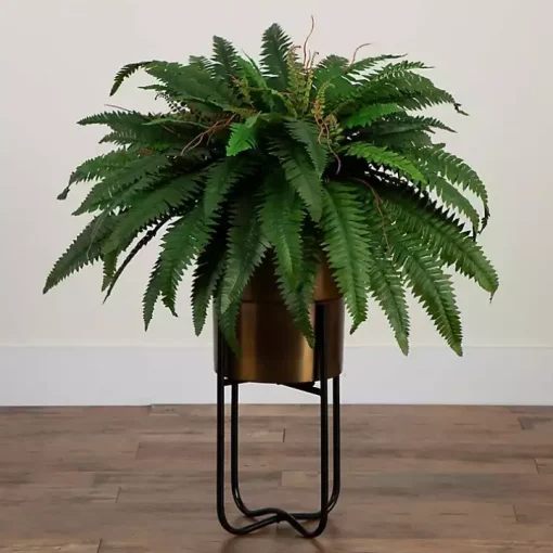 Fern in Gold Metal Planter