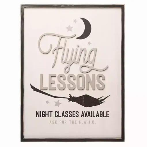 Flying Lessons Advertisement Wall Plaque
