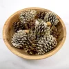 Gold Vanilla Spice Pine Cone Potpourri