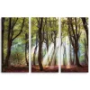 Majestic Morning Canvas Art Prints, Set of 3