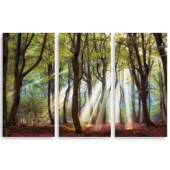 Majestic Morning Canvas Art Prints, Set of 3