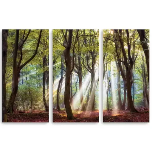 Majestic Morning Canvas Art Prints, Set of 3