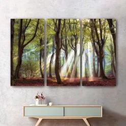 Majestic Morning Canvas Art Prints, Set of 3