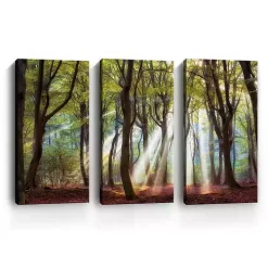 Majestic Morning Canvas Art Prints, Set of 3