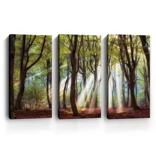 Majestic Morning Canvas Art Prints, Set of 3