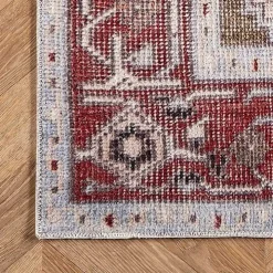 Miley Traditional Medallion Washable Area Rug, 4x6