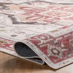Miley Traditional Medallion Washable Area Rug, 4x6