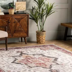 Miley Traditional Medallion Washable Area Rug, 4x6
