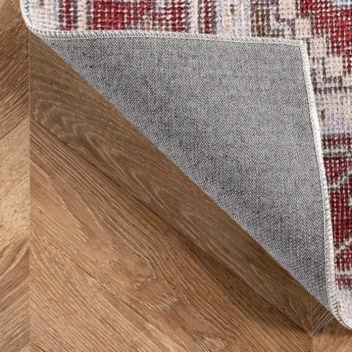 Miley Traditional Medallion Washable Area Rug, 4x6