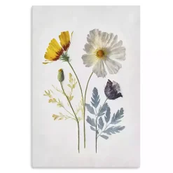 Pressed Flower Memories II Canvas Art Print