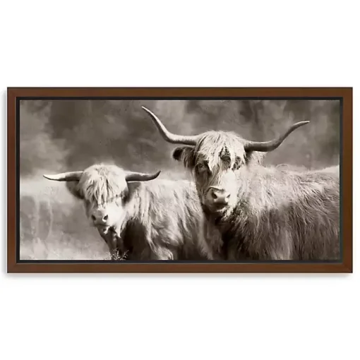 Sepia Hairy Highland Framed Canvas Art Print