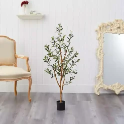 Slender Olive Branch Tree in Nursery Planter