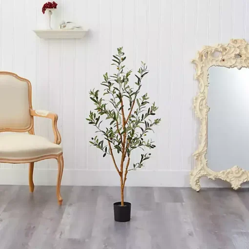 Slender Olive Branch Tree in Nursery Planter