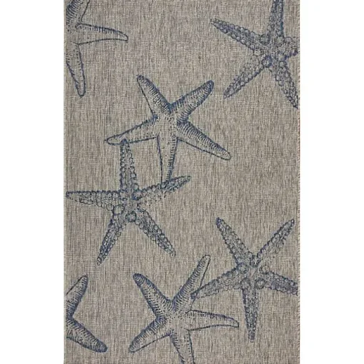 Starry Shores Captiva Outdoor Area Rug, 7x9