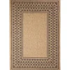 Tan & Black Zig Zag Indoor/Outdoor Area Rug, 5x7