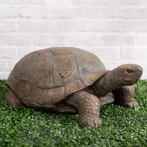 Tortoise Statue