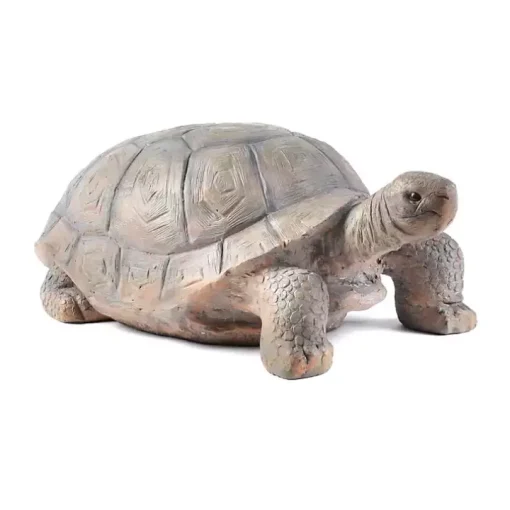 Tortoise Statue